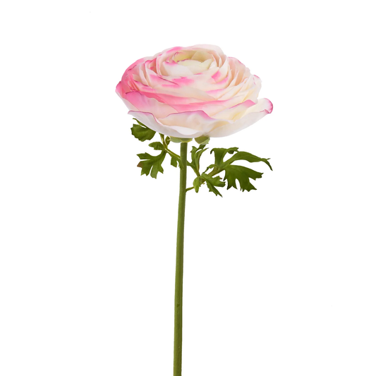 WWF Ranunculus Stem - Pink/White 22"