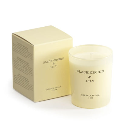 Black Orchid & Lily - Mini Candle 2.6oz