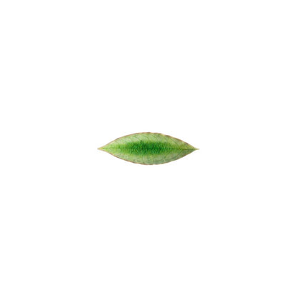 Riviera - Laurel Leaf Platter - Tomate Green 7"