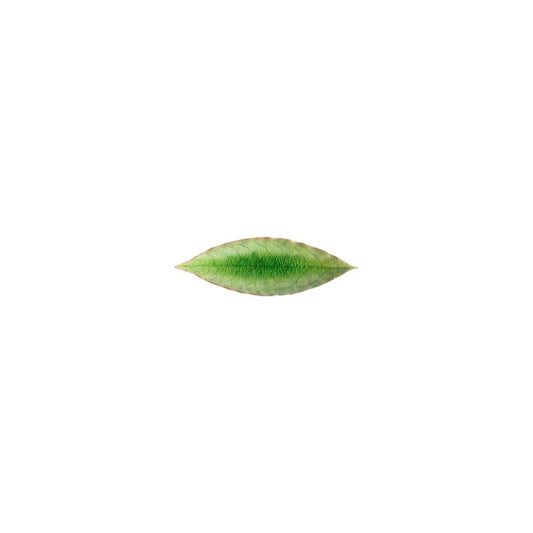 Riviera - Laurel Leaf Platter - Tomate Green 7"