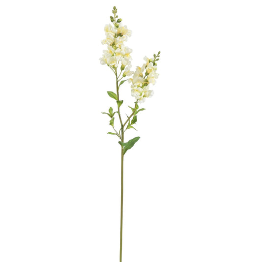 WWF Snapdragon Duo Stem - Cream 31"