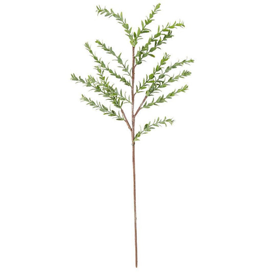 Powdered Green Myrtle Branch - 33"
