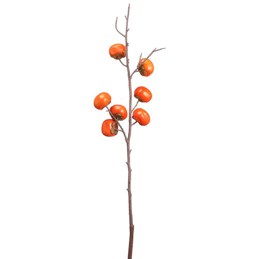 ASF Persimmon Spray - Dark Orange 36"