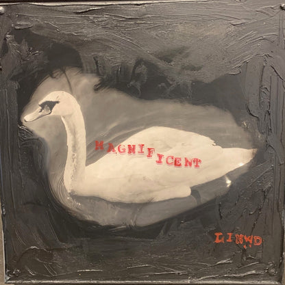 Swans In Motion - Magnificent (Linwood Original)
