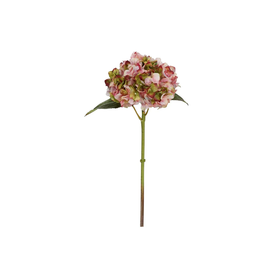 Hydrangea Stem - Mauve & Green 18"