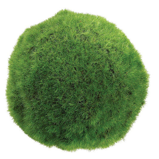 ASF Moss Orb 4" - Green