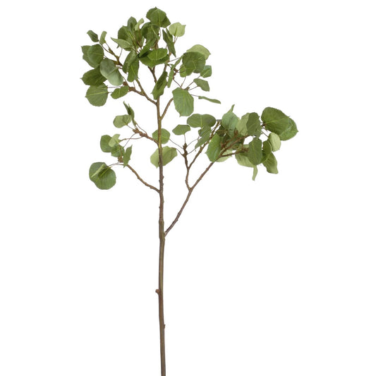 WWF Aspen Spray - Green 42"