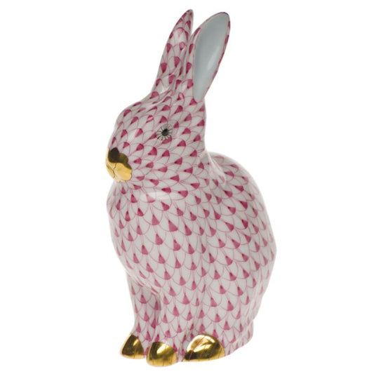 Rabbit - Raspberry