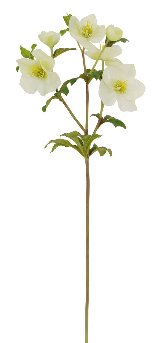 WWF Hellebores Stem - White 25.5"