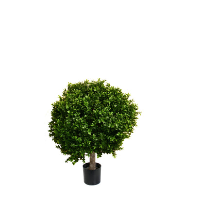 Potted New Boxwood Ball 24Dx32H