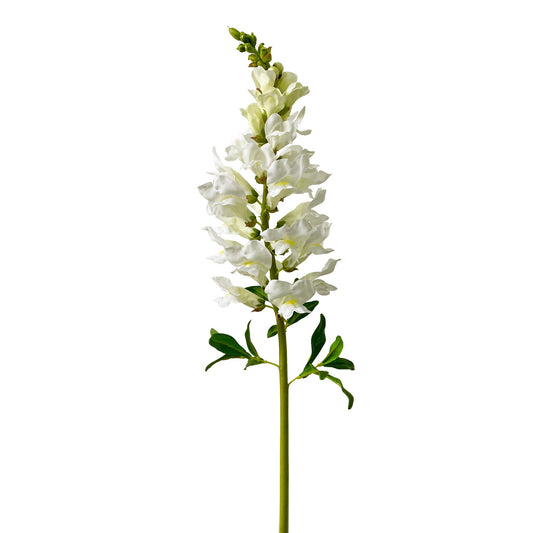 WWF Snapdragon Stem 30" White
