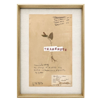 Pressed Flora: Transmute (Linwood Original)