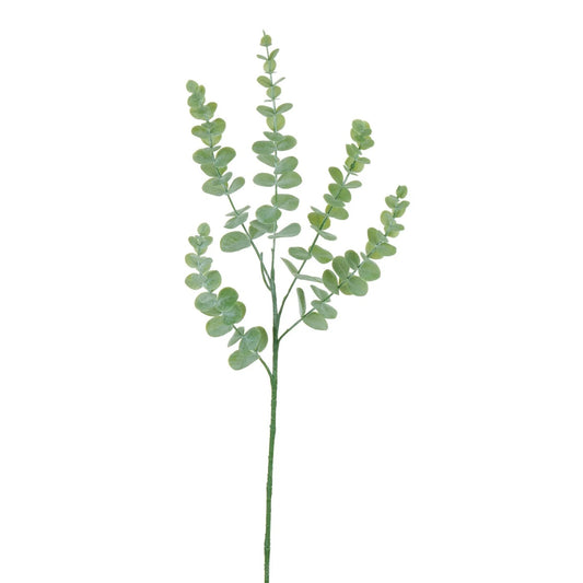 WWF Eucalyptus Leaf 28.5"