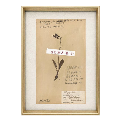 Pressed Flora: Glean! (Linwood Original)