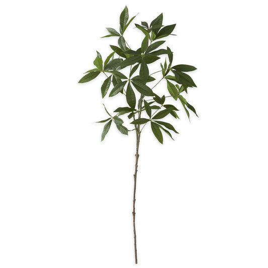 Money Tree Branch - 36"