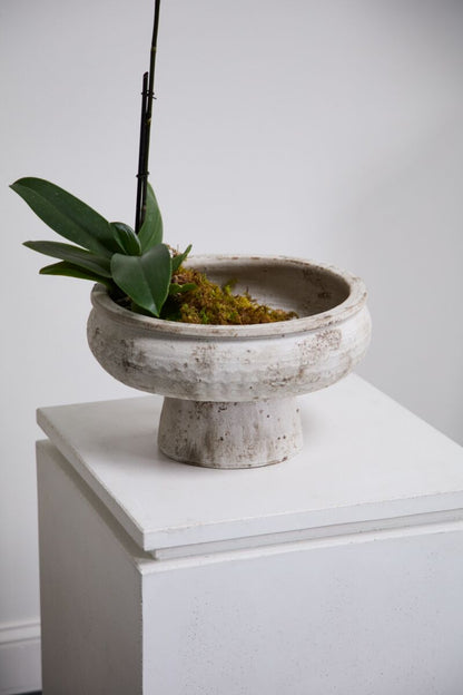 Garance Footed Bowl - Grey - 14.75" X 9.75"
