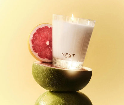 Grapefruit - Classic Candle 8.1 oz