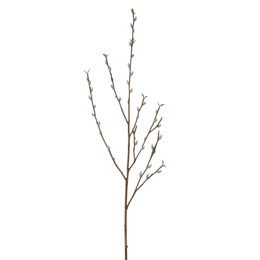 WWF Tree Magnolia Twig Branch 46"