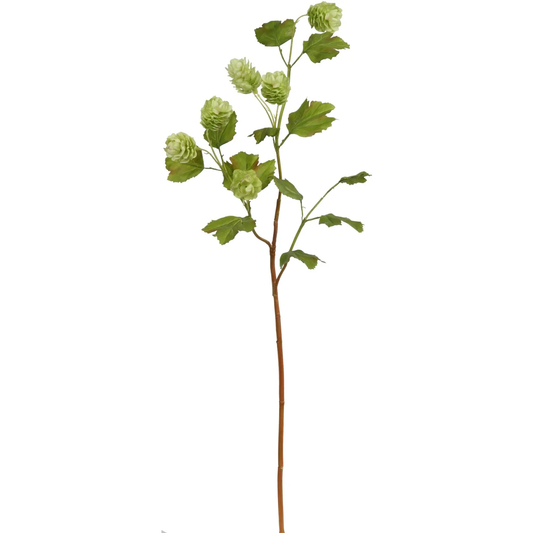WWF Hops - Green - 26.5"