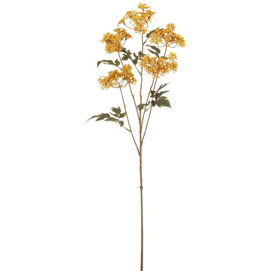 ASF Queen Ann Lace Spray - Mustard - 36.5"