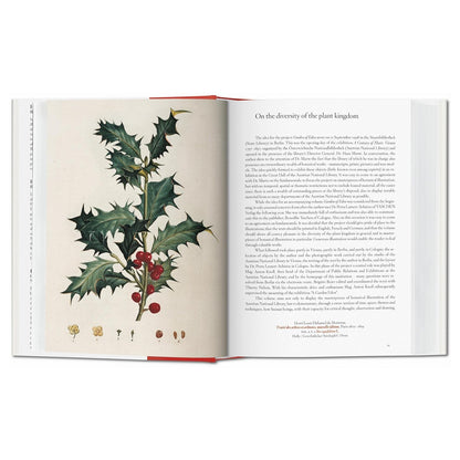 A Garden Eden: Masterpieces of Botanical Illustration