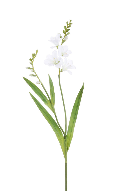 WWF Freesia Short Stem - White 21"