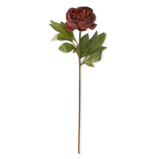 Rust Faux Dried Peony Stem 24"