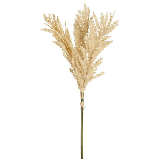 Flocked Pampas Grass Bundle - Beige 26"
