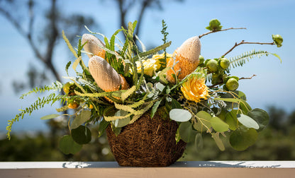 Ventura Moss Basket Square
