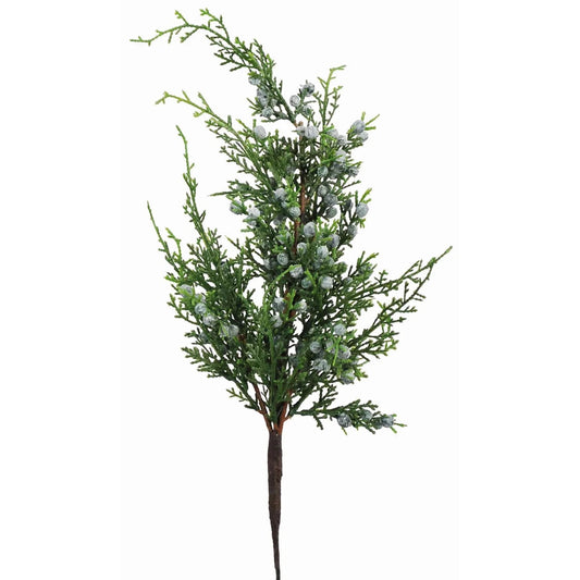 WWF Oregan Juniper Spray 18"