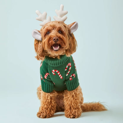 Pet Sweater - Candy Cane Green Knit -