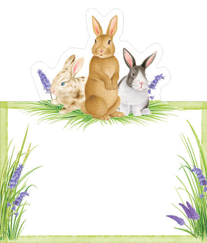 Bunnies And Daffodils Place Card 8pk