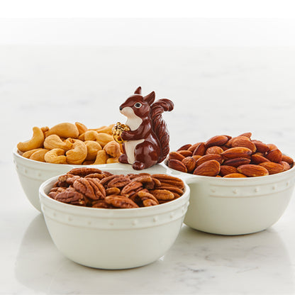 NFL Mini - Mr. Squirrel