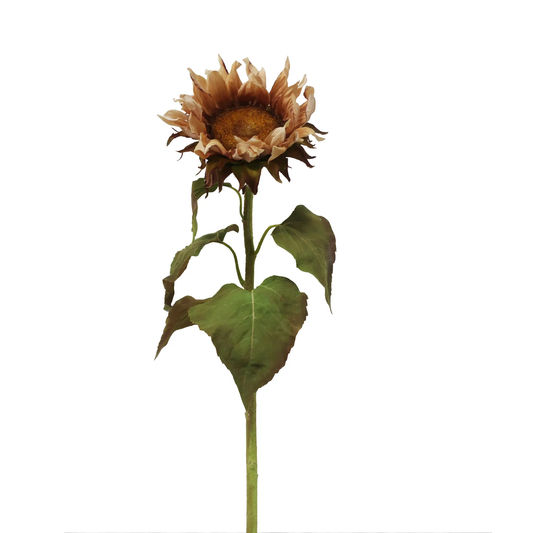 Sunflower 30" - Natural Brown & Yellow