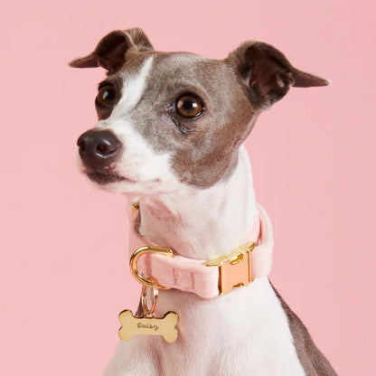 TFD Blush Pink Velvet Pet Collar -