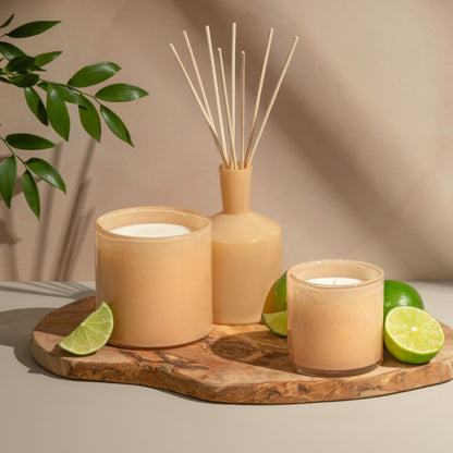 Paloma Melon - Classic Reed Diffuser 6oz