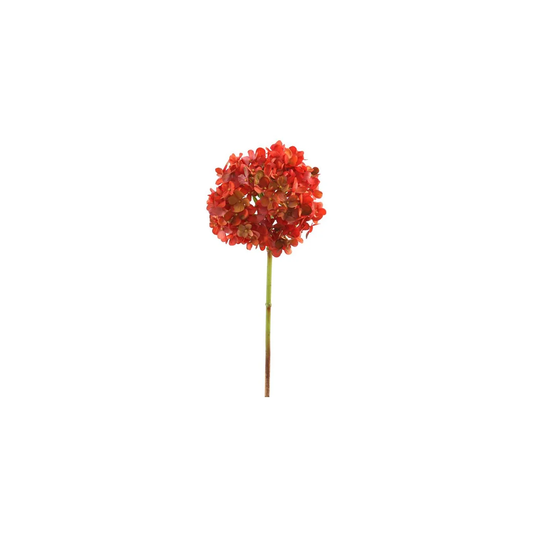 Hydrangea Short Stem - Rust 18"
