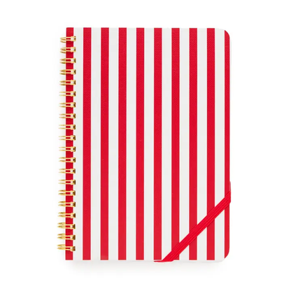 Red Stripe Mini Spiral Notebook