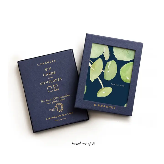 Boxed Thank You Cards - Pilea Plant - 6ct