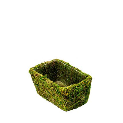 Chino Deco Moss Basket - Medium