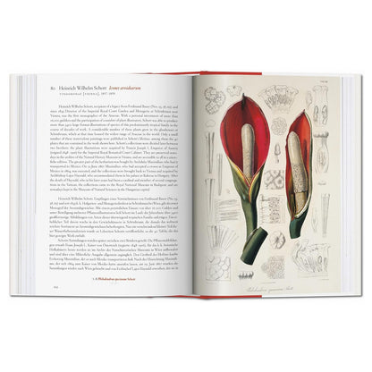 A Garden Eden: Masterpieces of Botanical Illustration