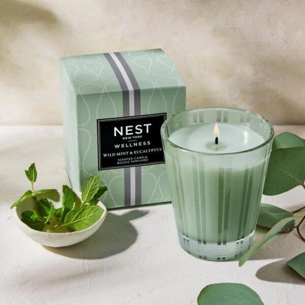 NST Wild Mint & Eucalyptus - Classic Candle 8.1 oz