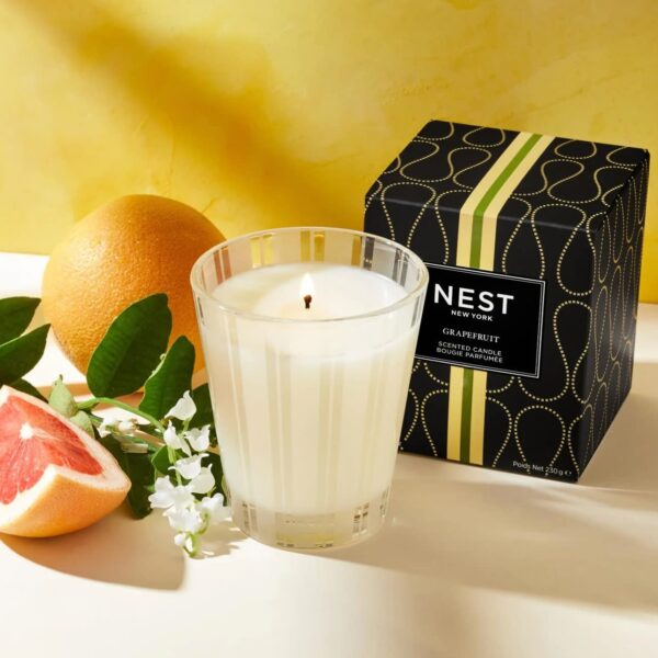 NST Grapefruit - Classic Candle 8.1 oz.